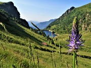 Monte Mincucco ad anello fiorito dal Lago di Valmora-26giu23- FOTOGALLERY